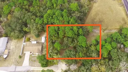 CRYSTAL RIVER FL Property