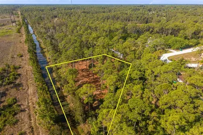 PUNTA GORDA FL Property