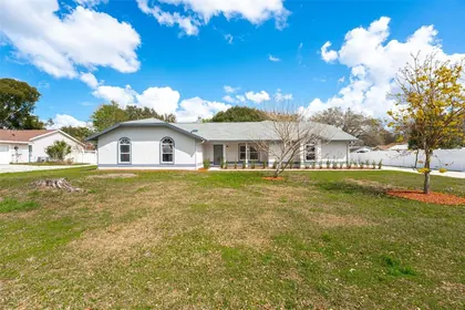 MOUNT DORA FL Home
