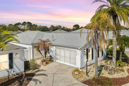 THE VILLAGES FL Home