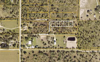 SARASOTA FL Property