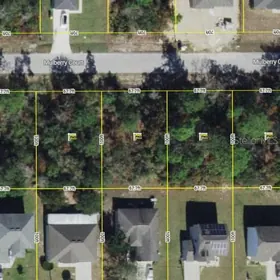 POINCIANA FL Property