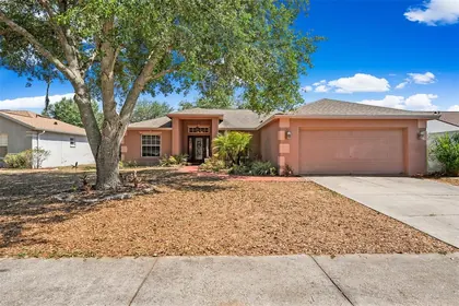 SEFFNER FL Home