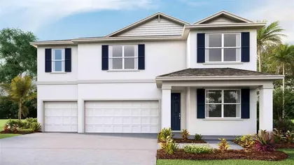 WESLEY CHAPEL FL Home