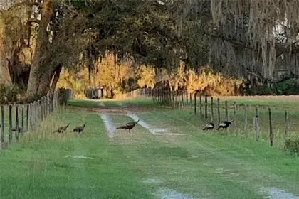 PALATKA FL Home
