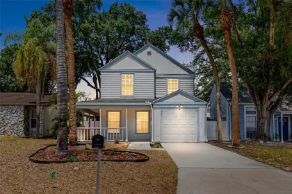 TEMPLE TERRACE FL Home