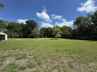 UMATILLA FL Property