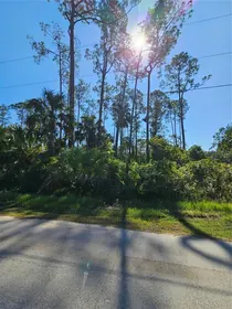 PALM COAST FL Property