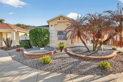 THE VILLAGES FL Home