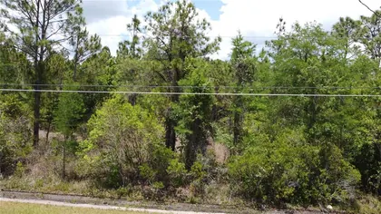 ORLANDO FL Property