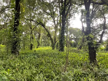 SEFFNER FL Property