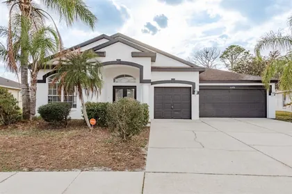 WESLEY CHAPEL FL Home
