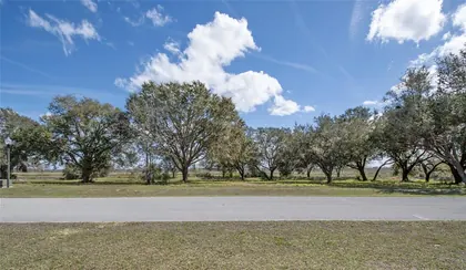 GROVELAND FL Property