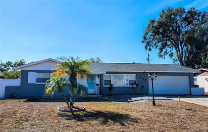 ST PETERSBURG FL Home