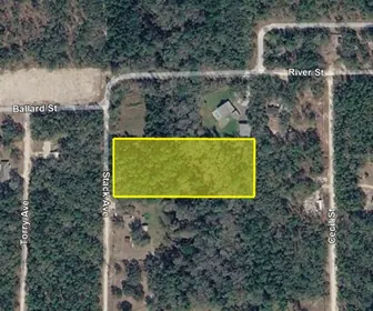 INTERLACHEN FL Property