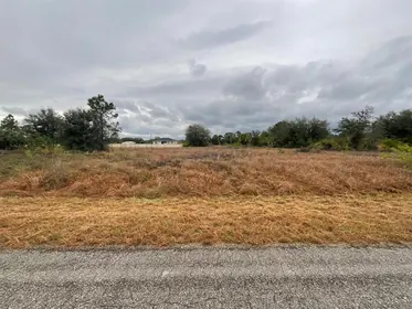 LEHIGH ACRES FL Property