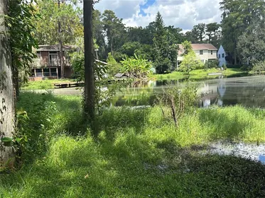 NEW PORT RICHEY FL Property