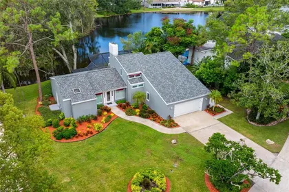PALM HARBOR FL Home