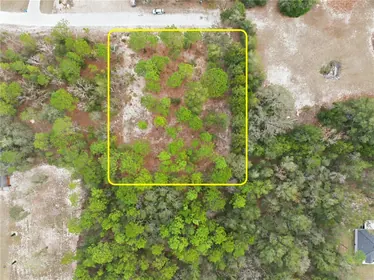 BROOKSVILLE FL Property