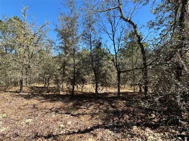 DUNNELLON FL Property