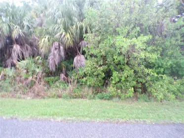 NORTH PORT FL Property