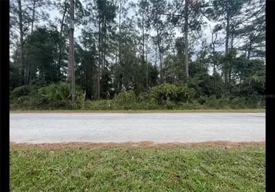 WILDWOOD FL Property