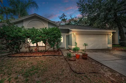 VALRICO FL Home