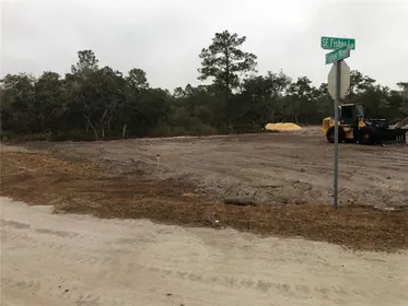OCKLAWAHA FL Property