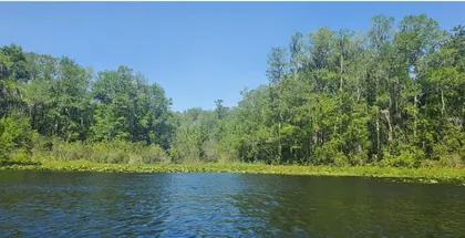 DUNNELLON FL Property