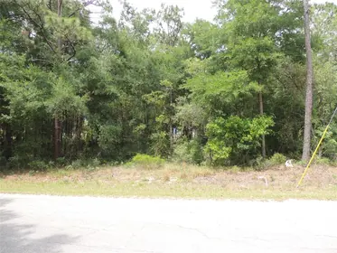 WILLISTON FL Property