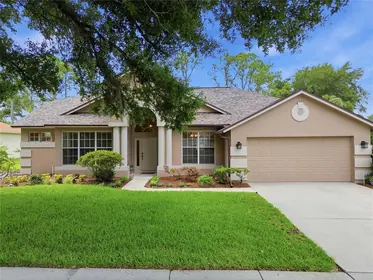 VALRICO FL Home