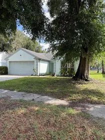 LUTZ FL Home