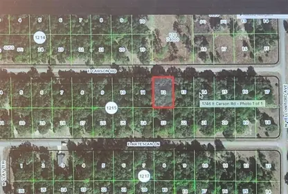 CITRUS SPRINGS FL Property