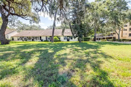 TARPON SPRINGS FL Home