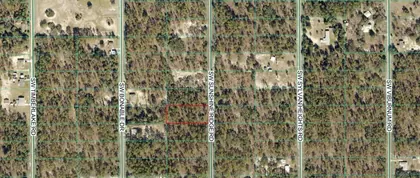 DUNNELLON FL Property