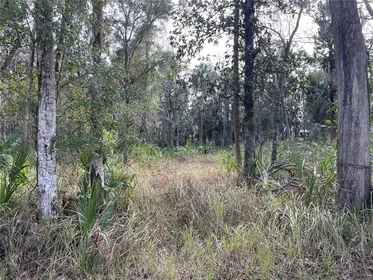 HOMOSASSA FL Property