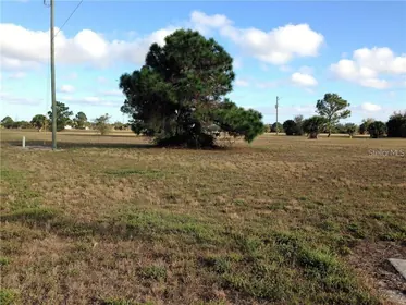 PLACIDA FL Property
