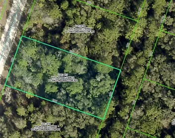 WEEKI WACHEE FL Property