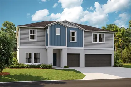 WESLEY CHAPEL FL Home