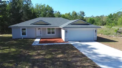 OCKLAWAHA FL Home