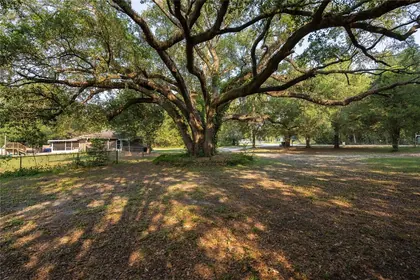 LAKE CITY FL Home