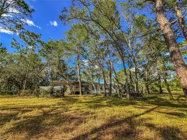 WEEKI WACHEE FL Home