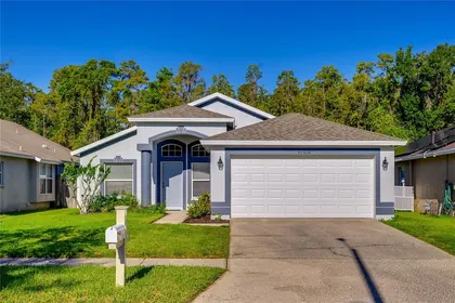 WESLEY CHAPEL FL Home