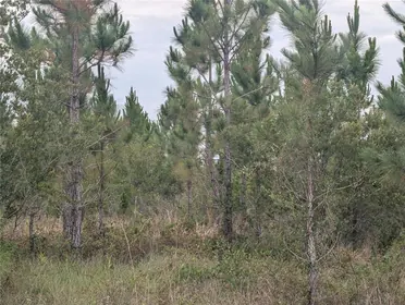 INDIAN LAKE ESTATES FL Property