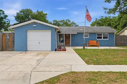 PINELLAS PARK FL Home