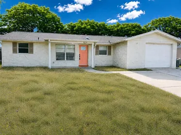 PORT RICHEY FL Home