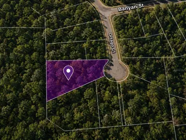 CHIPLEY FL Property