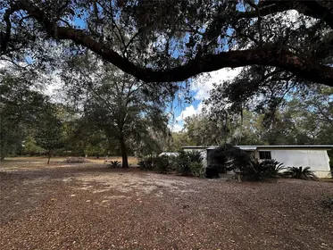 SALT SPRINGS FL Home