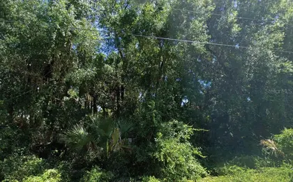 NORTH PORT FL Property