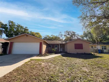 BRANDON FL Home